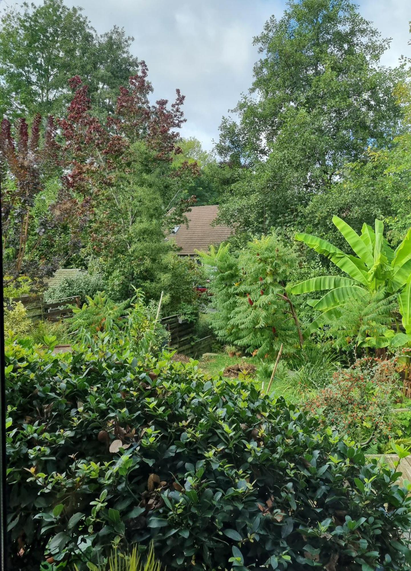 Belle Maison D'Art Verdoyante & Jardin Saint-Rémy-lès-Chevreuse Kültér fotó