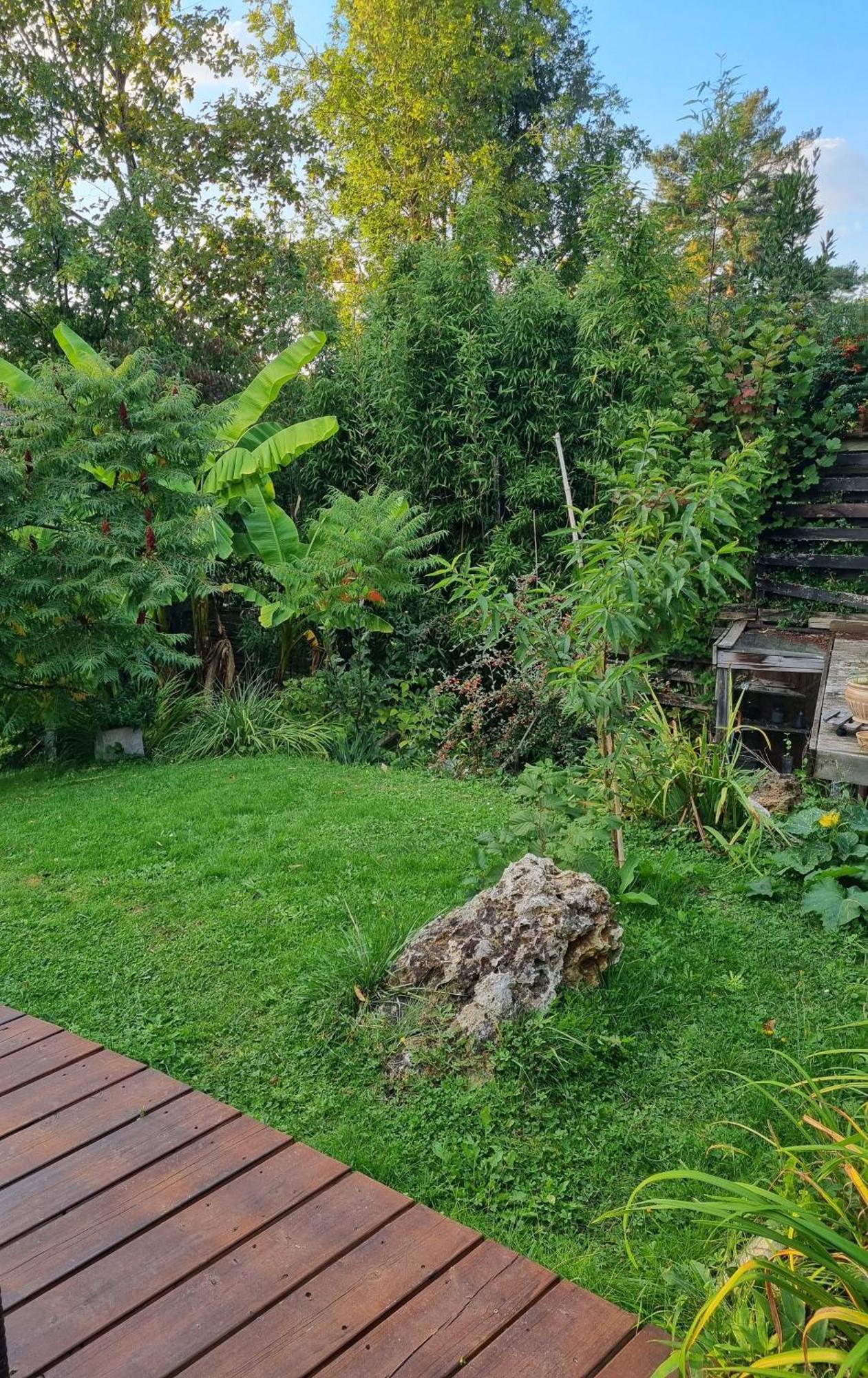Belle Maison D'Art Verdoyante & Jardin Saint-Rémy-lès-Chevreuse Kültér fotó